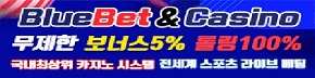 토토사이트-블루벳-토토-배너-슬롯머신사이트-290